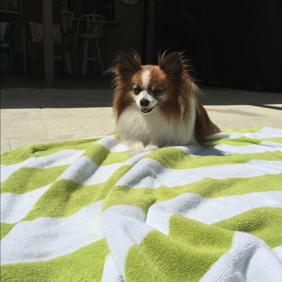 Meet your Posher, Rebecca - Picture 2 of 2